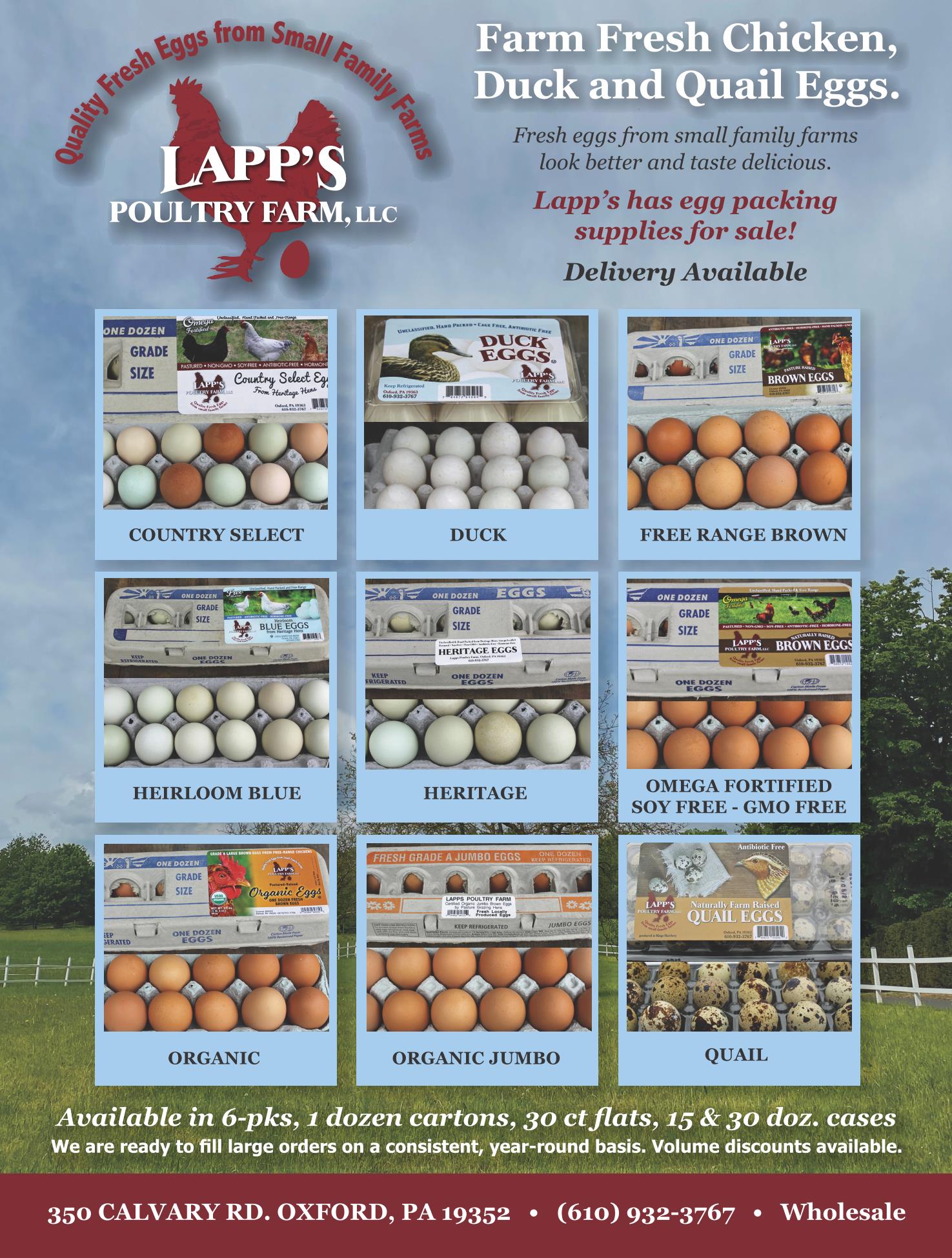 Large Eggs, Bulk Dozen, 15 Dozen Case