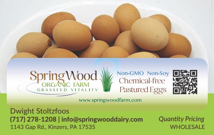 Spring Wood Organic Farm
