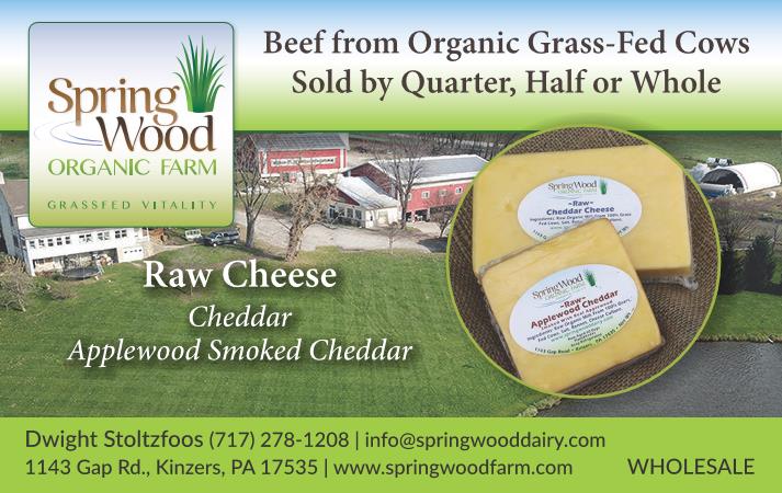 Spring Wood Farm - Beef & Cheese