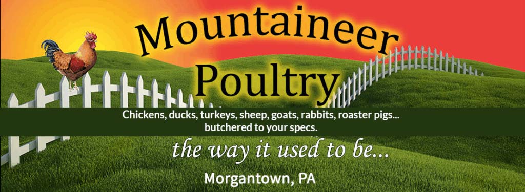 mountaineer poultry