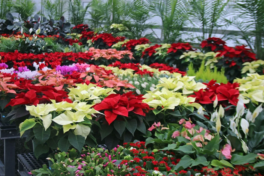 hillside garden center