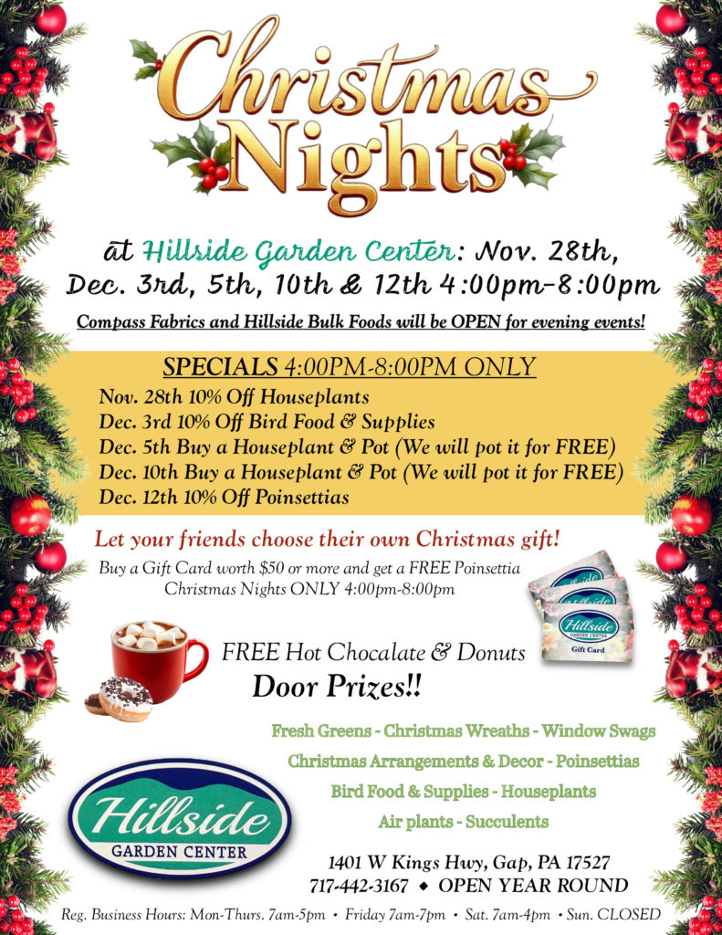 christmas flyer