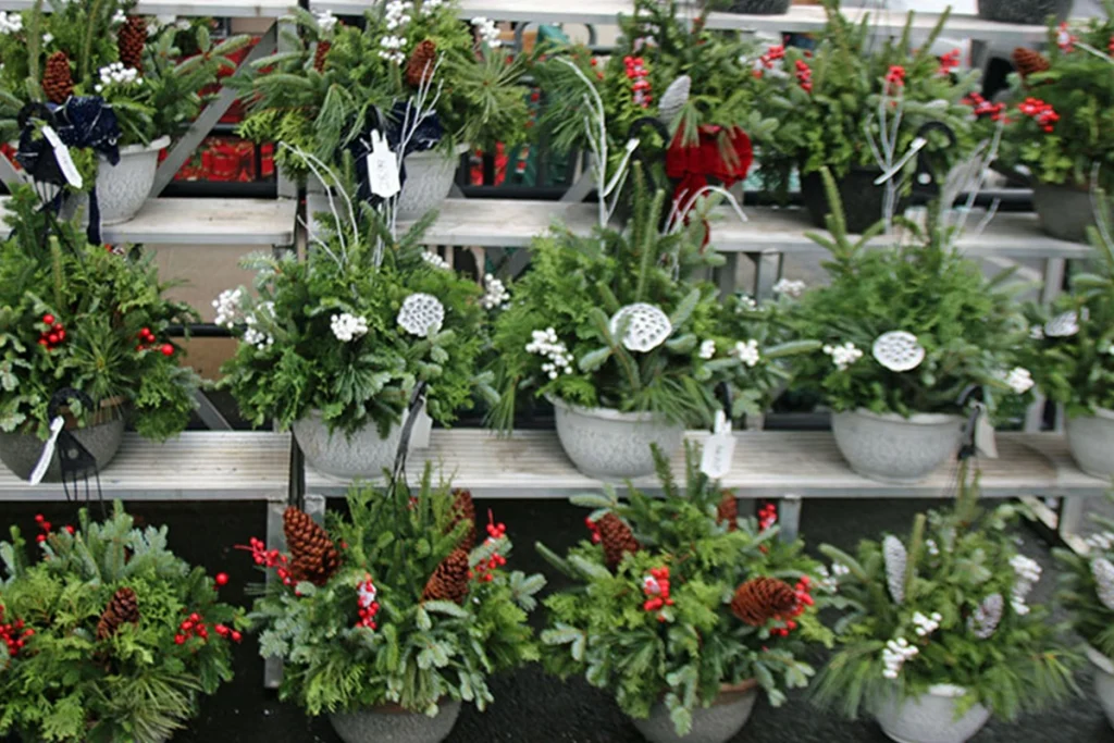 hillside garden center