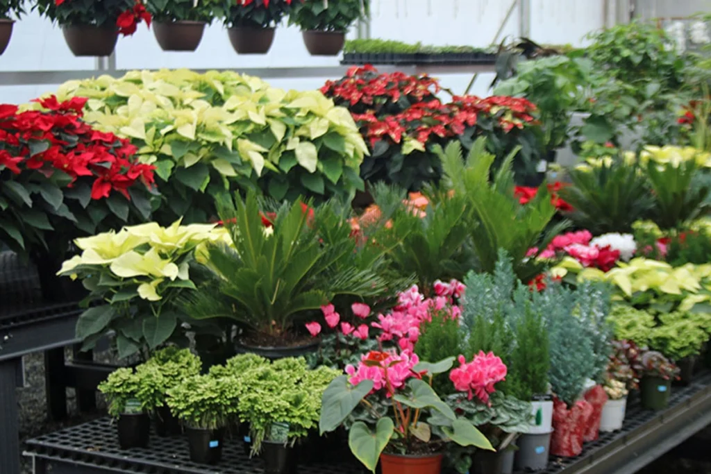 hillside garden center