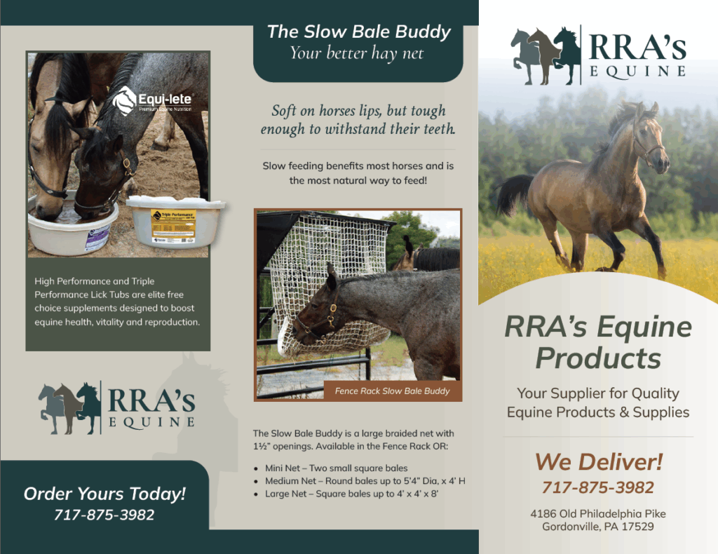 RRA's Equine